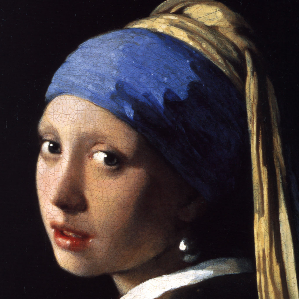 Girl with a Pearl Earring A Novel
